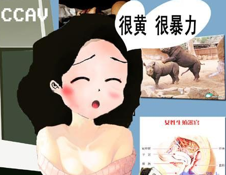 网络热词很黄很暴力