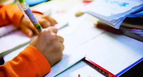 �����ȴ�Ƶ��ѧ��������