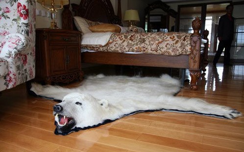 �����ȴʺ��ϻʹ�