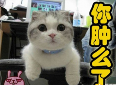 ����Һ��������������ص�� 