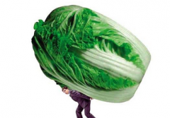 ������������ϸ�����͹㷺Ӧ�� 